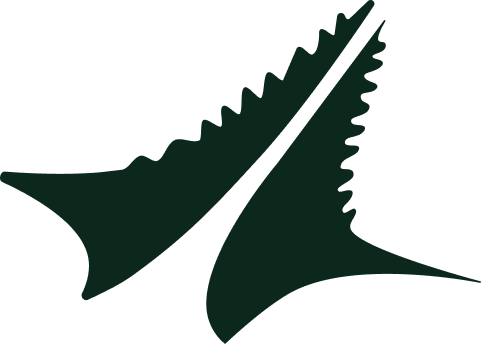 logo mark